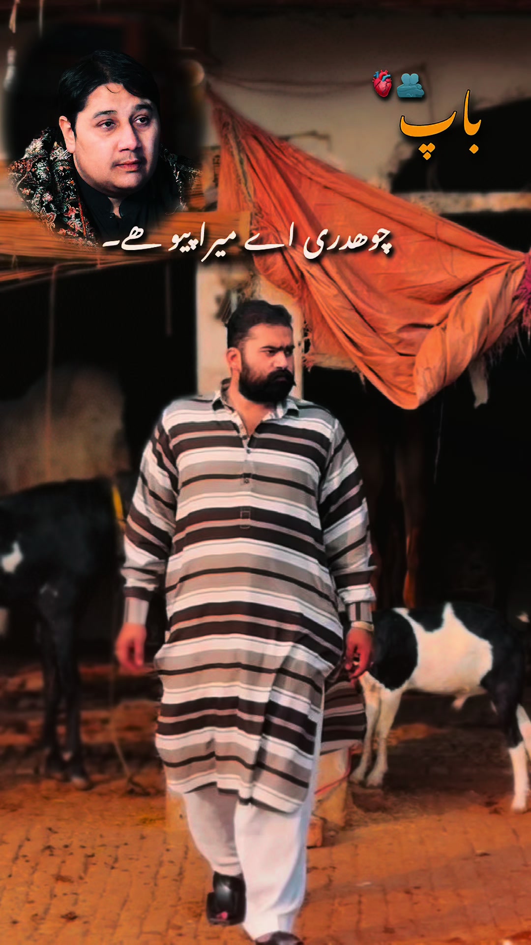 @شیخ ابوبکر ساجد