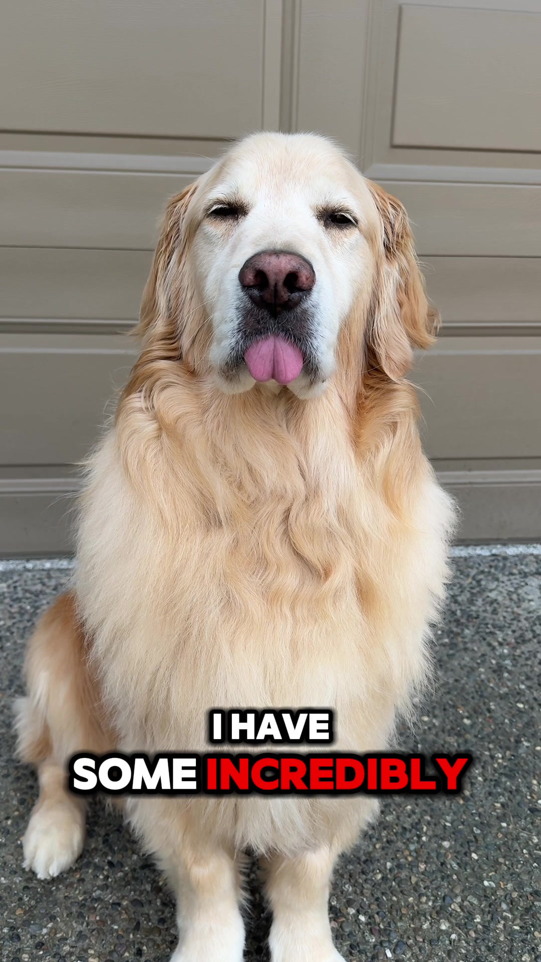 @A Golden and Fam