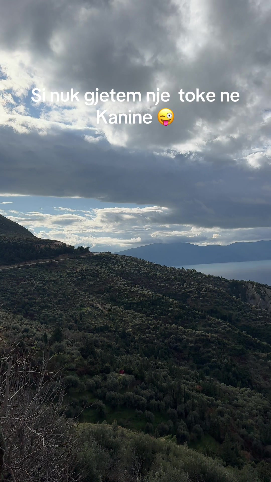 @Vlora e Labërisë