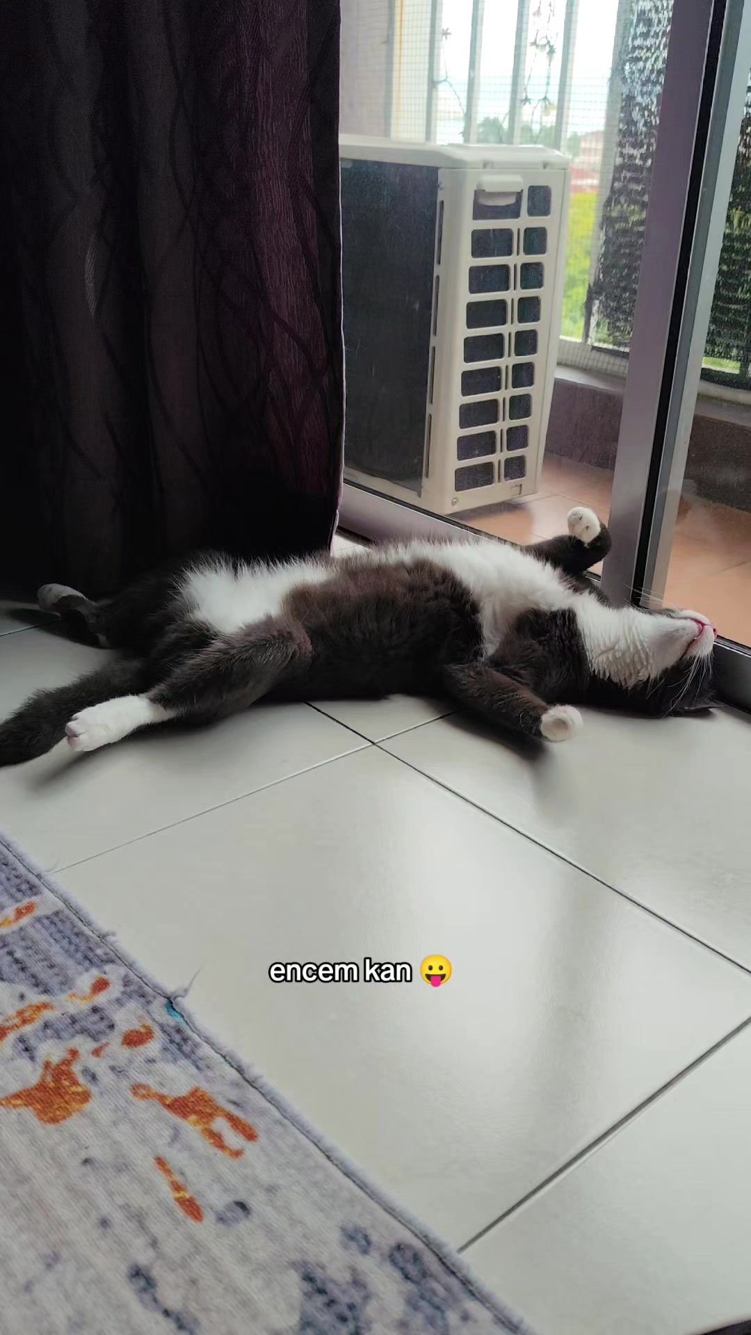 @Omma Kucing 🇲🇾🍉