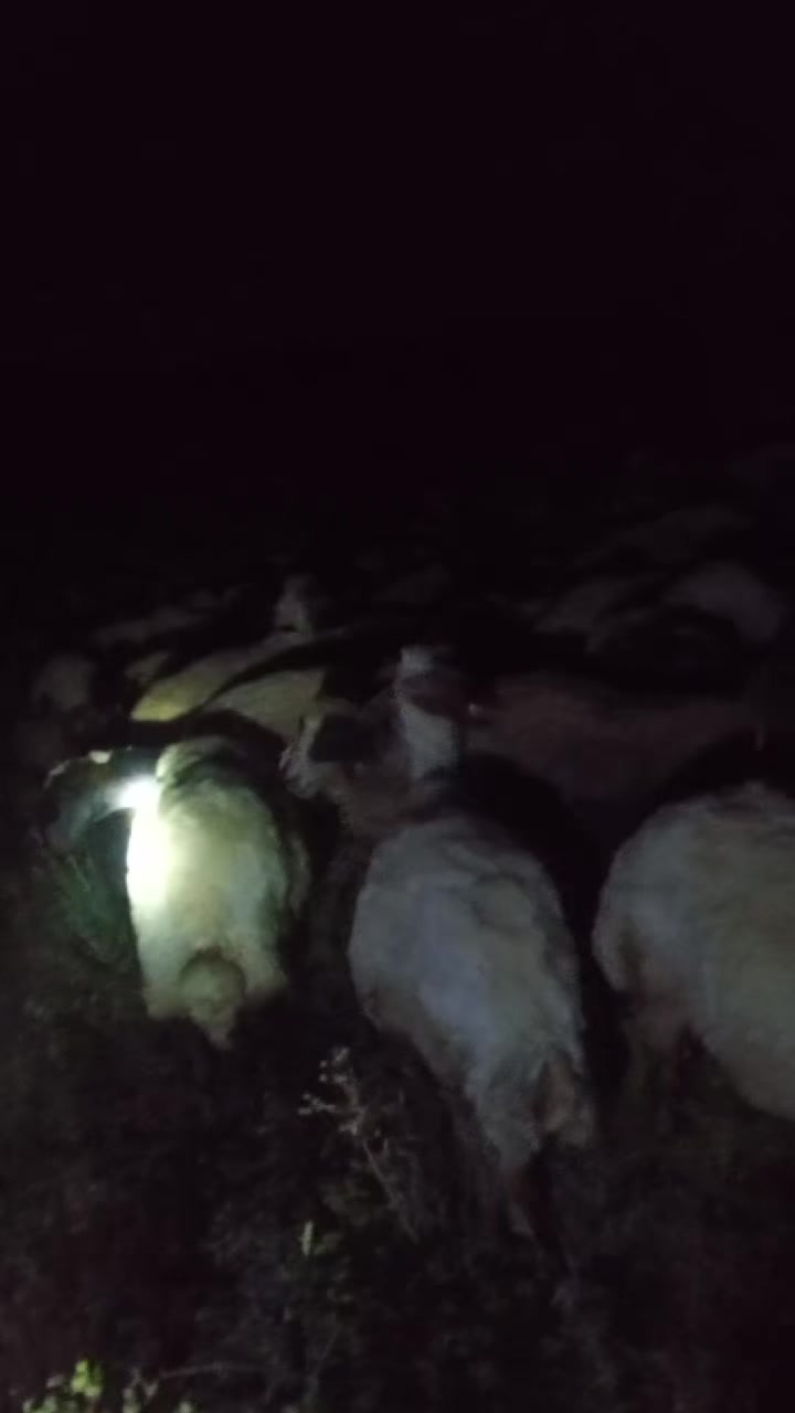 @Kasım