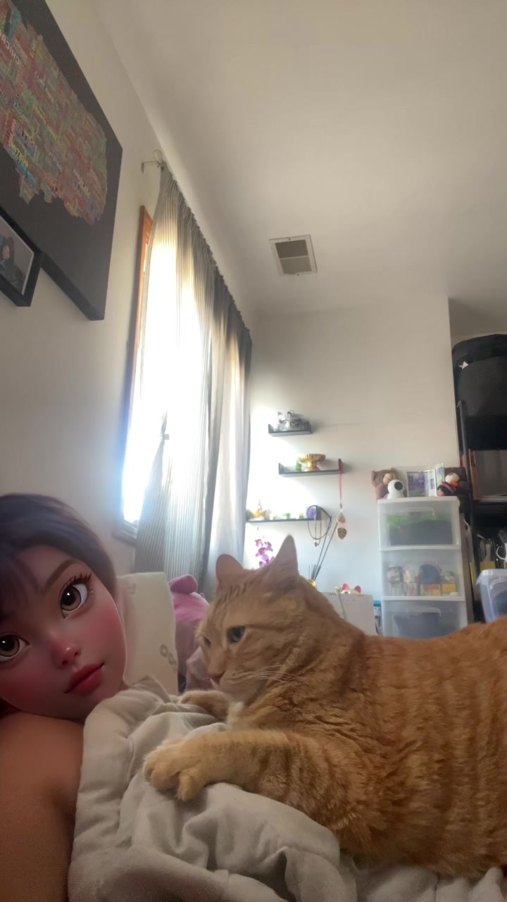 @crazy kitty