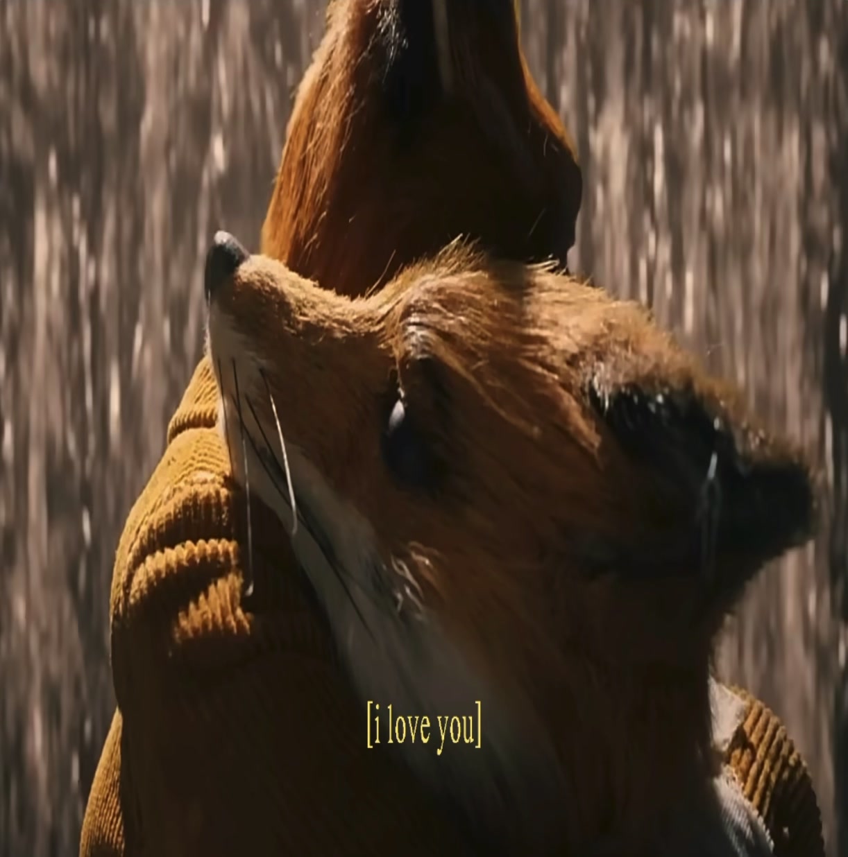 @ ️