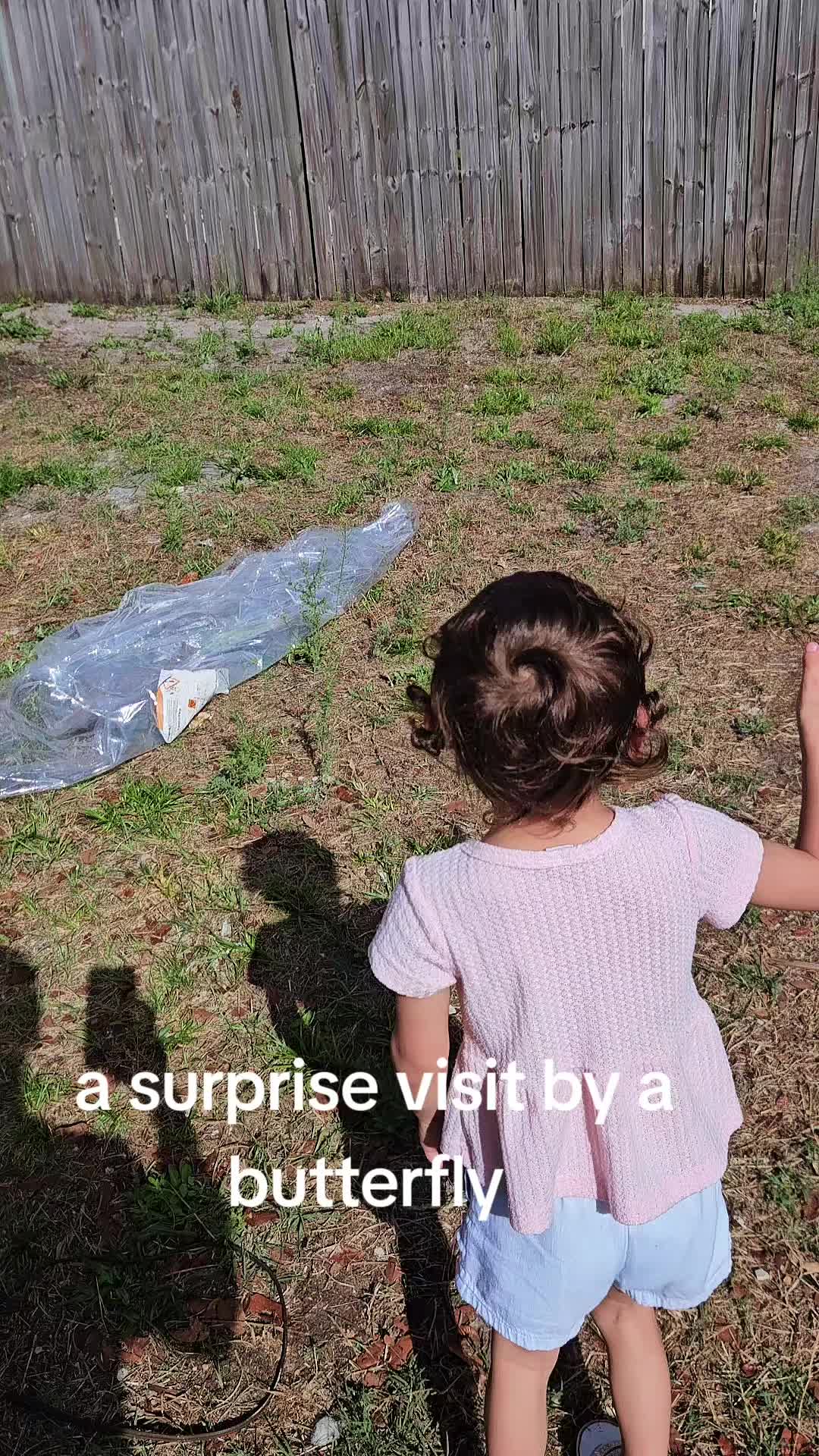 @Robertito