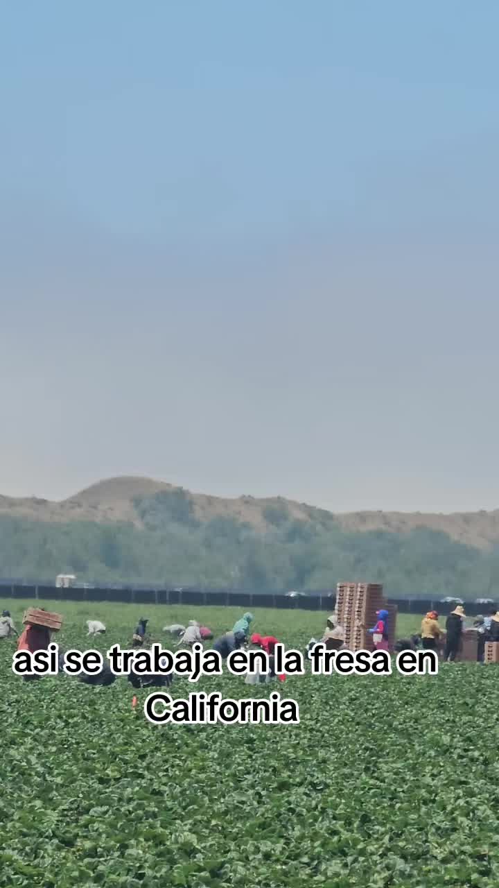 @🇲🇽🐦⬛🪺VASQUEZ🚚🌪💎