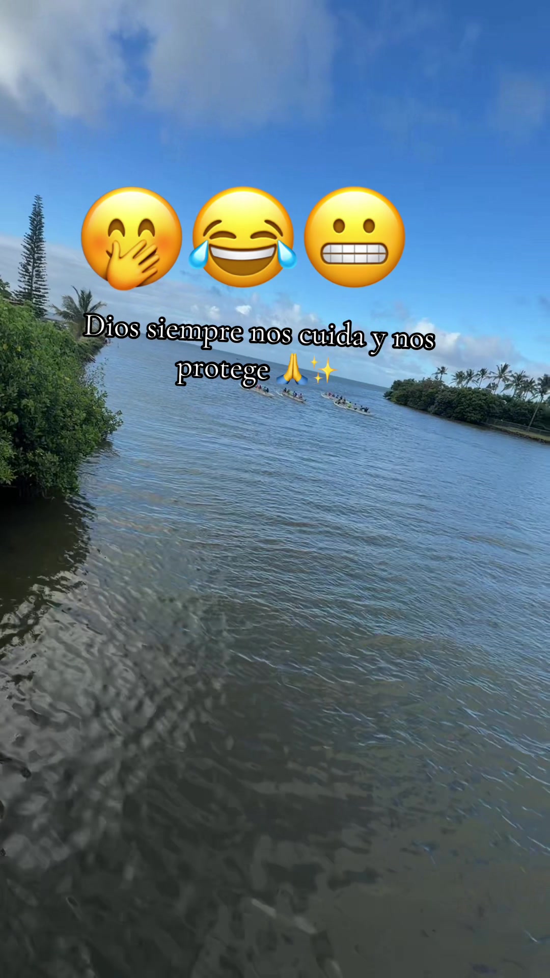 @veritodiaz1205