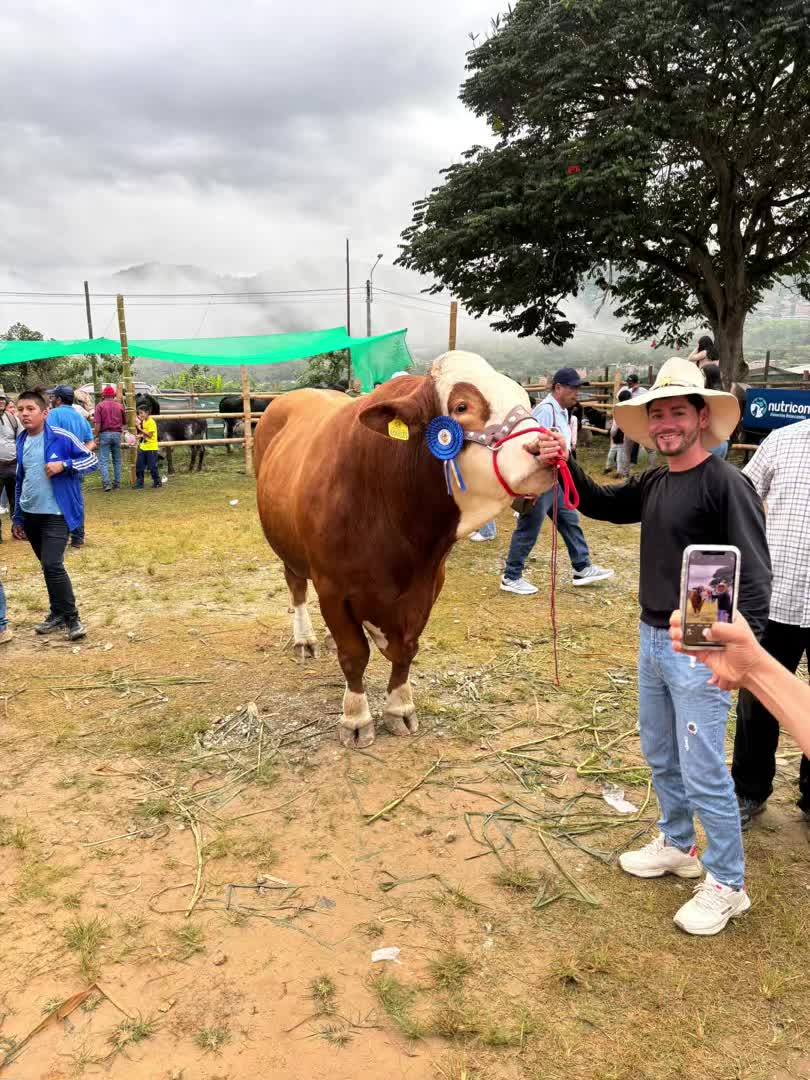 @Michel Calle