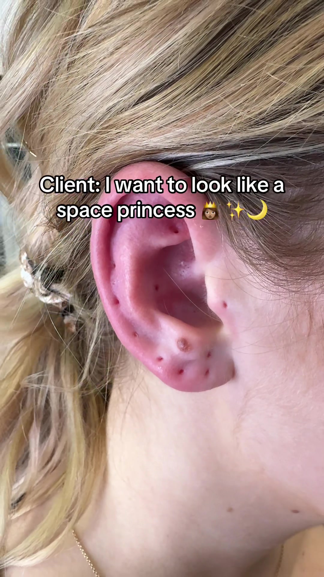 @The Curated Lobe