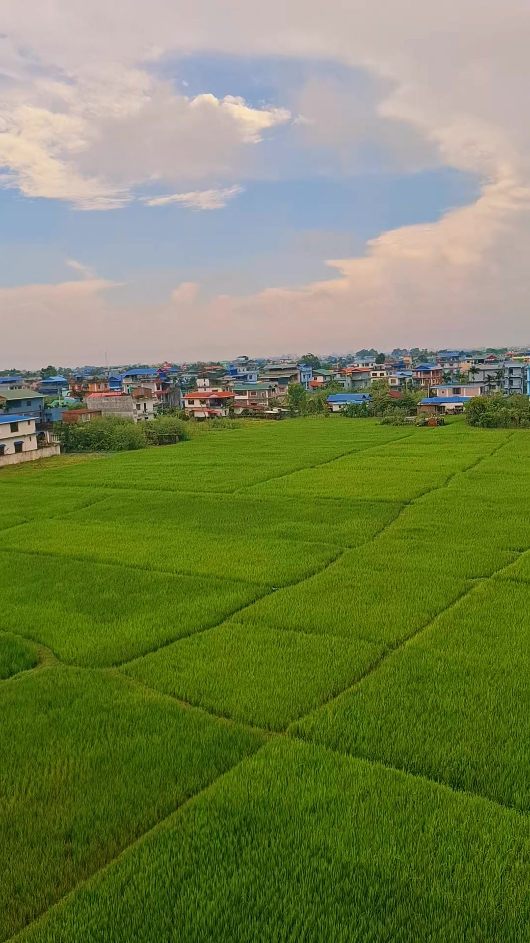 @NG LAMA🇨🇦🇳🇵