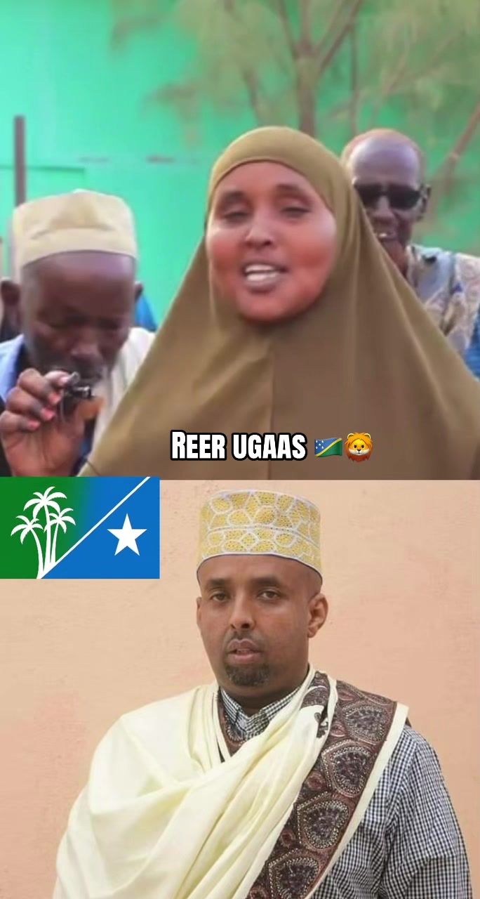 @Shaffi Abdi