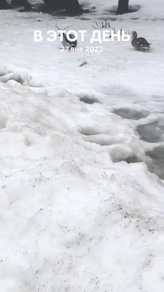 @Ирина