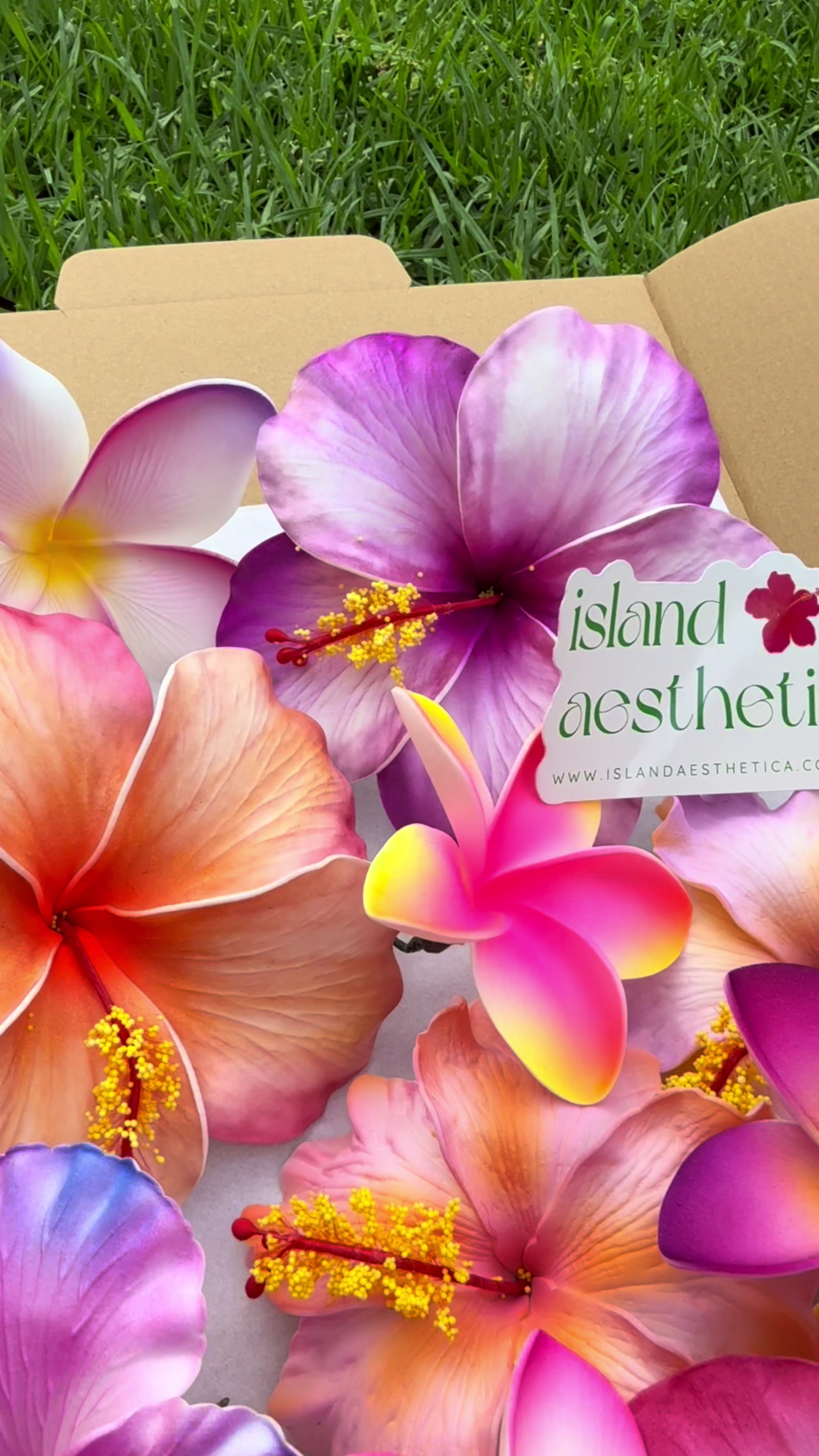 @Island Aesthetica 🌺