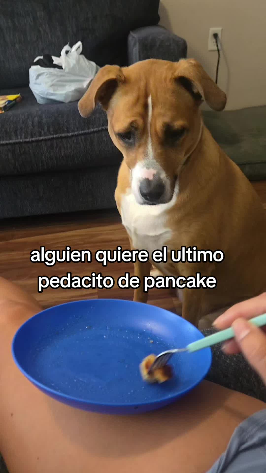 @mich ayala
