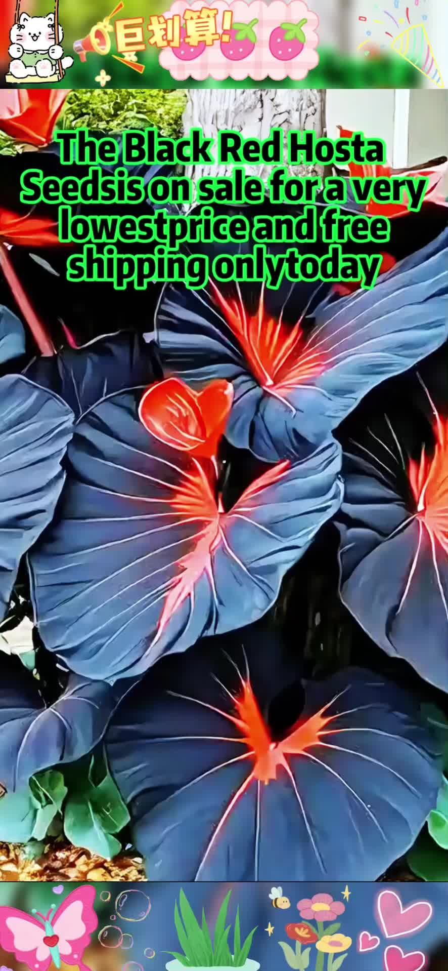 @bbb876hkp