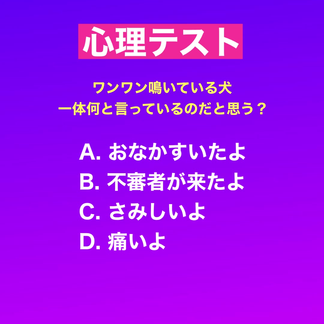 @10/13誕ドルフィン😂🏴☠️🐬