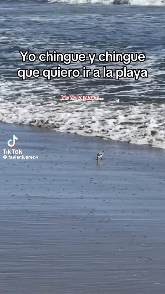 @Sandy Garcia