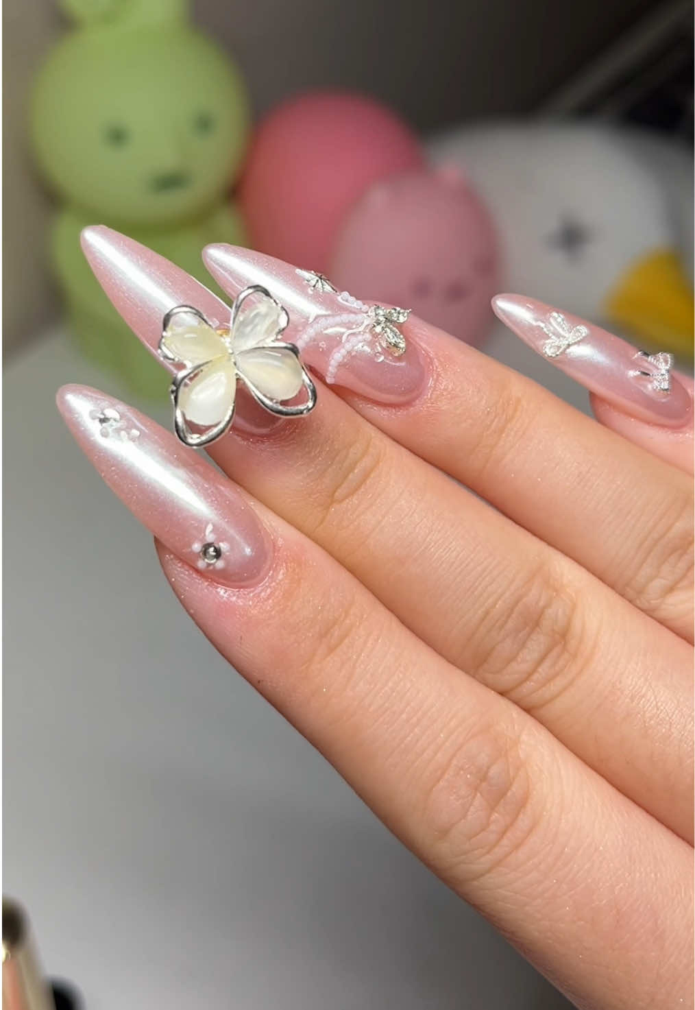 @momo ₍ ᐢ.ˬ.ᐢ₎ ♡