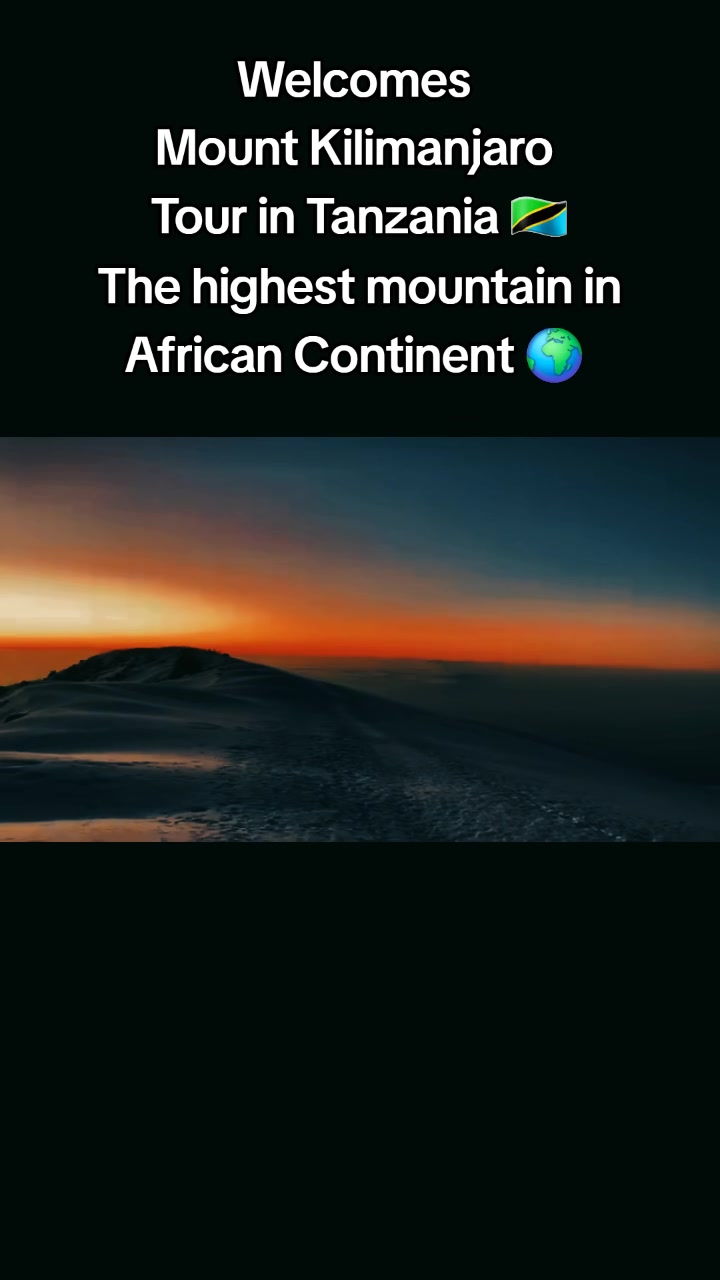 @Abbymohamed