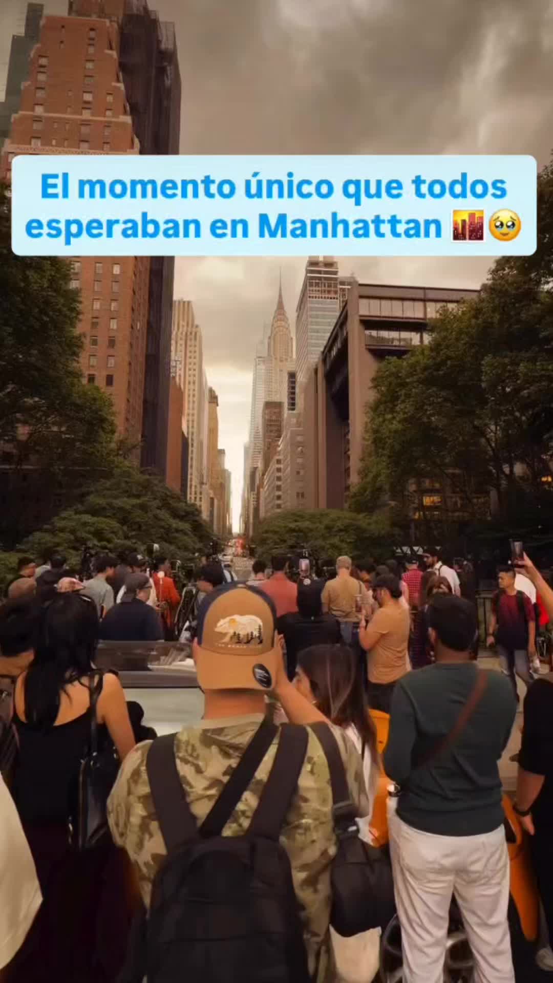 @chapischapis