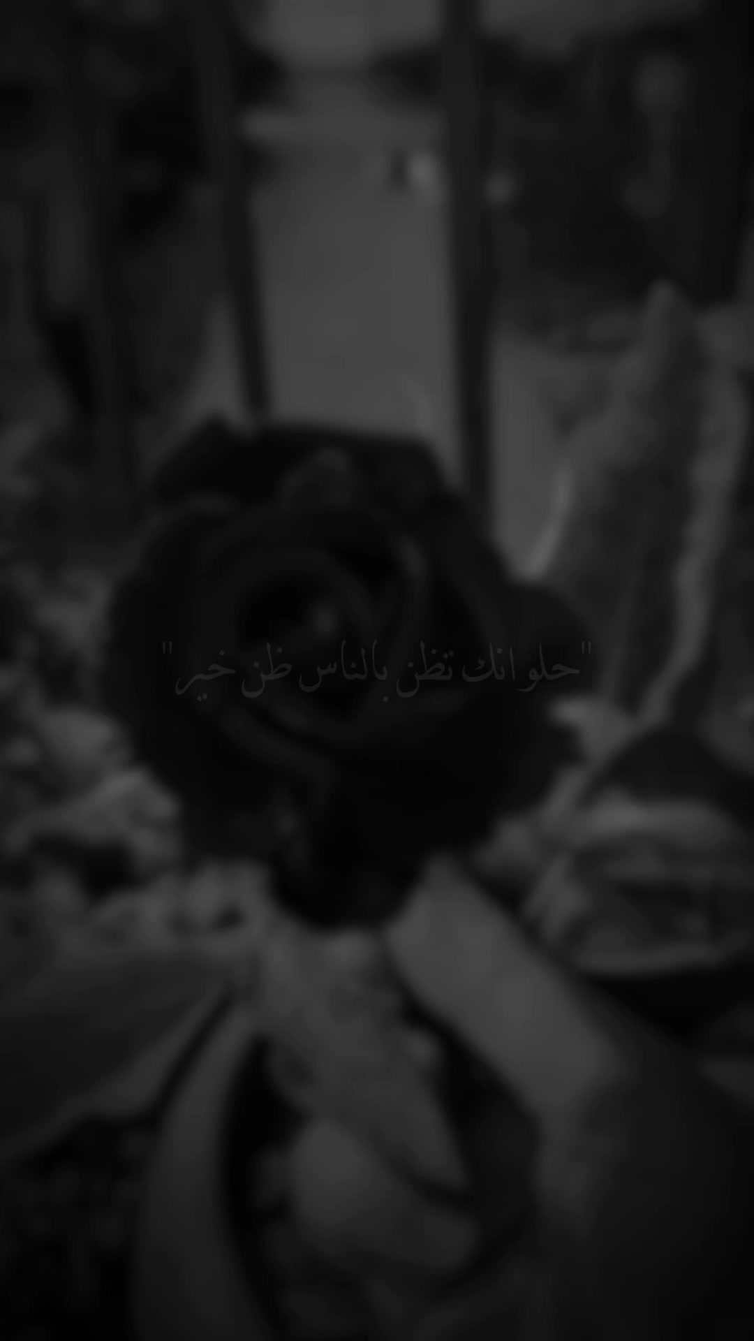 @🌸 زهرة النرجس🌸
