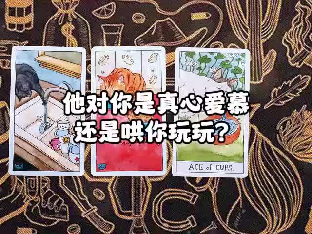 @塔羅療愈🔮