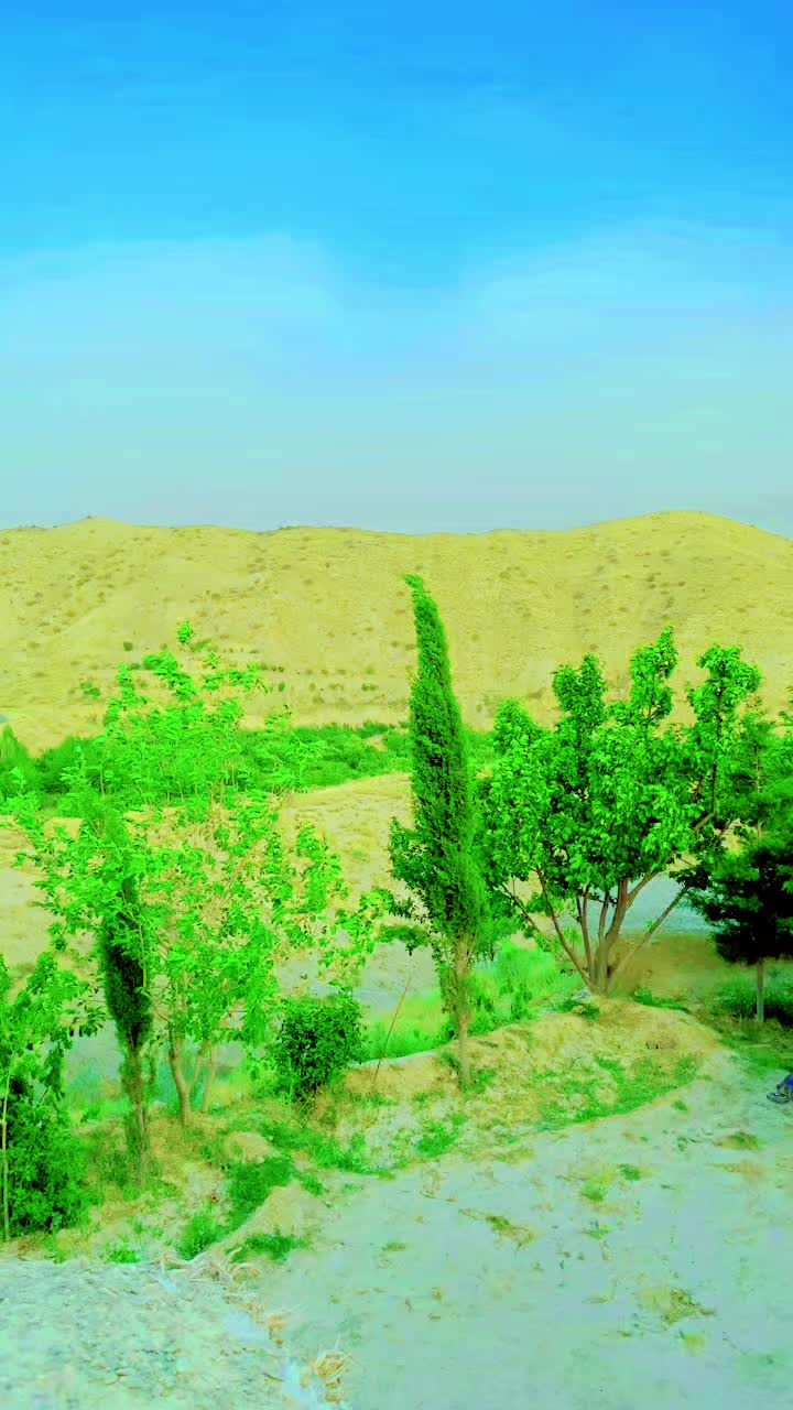 @جمیل خان