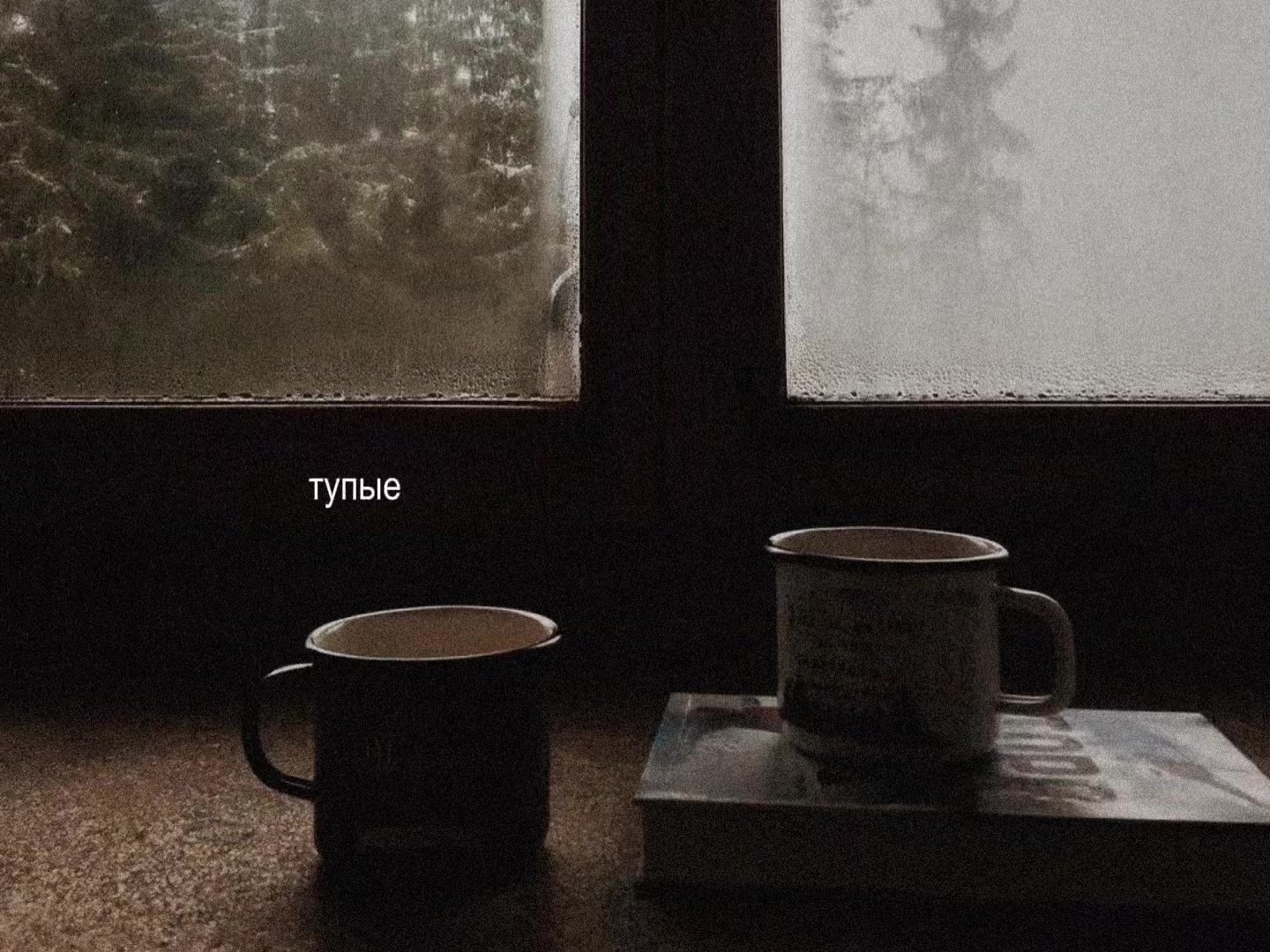 @𝒔𝒐𝒏𝒈𝒔