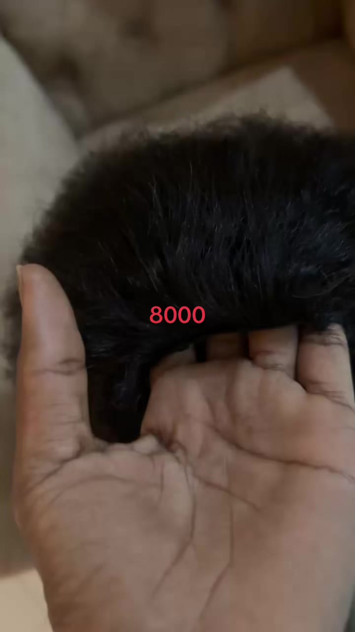 @Vide sp&eacute;cial cheveux