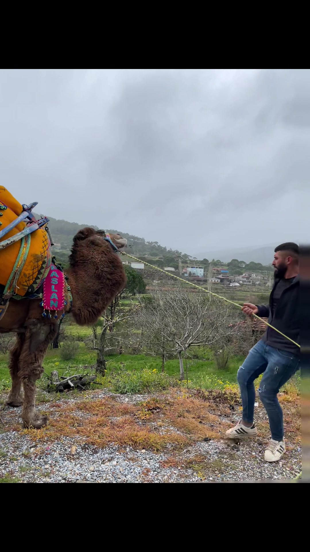 @Ozan,Kılınç