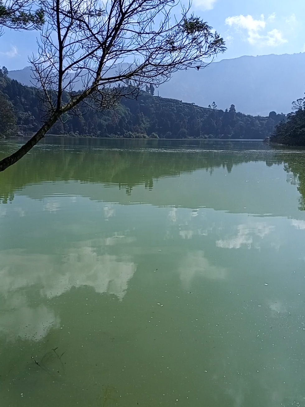 @jaka swara
