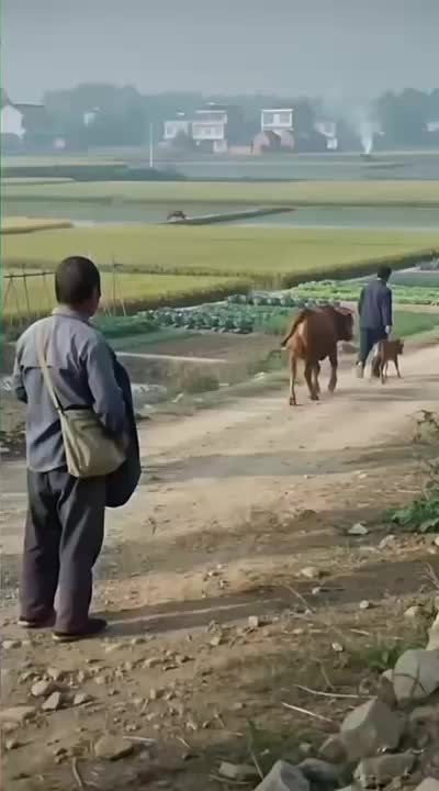 @Funny