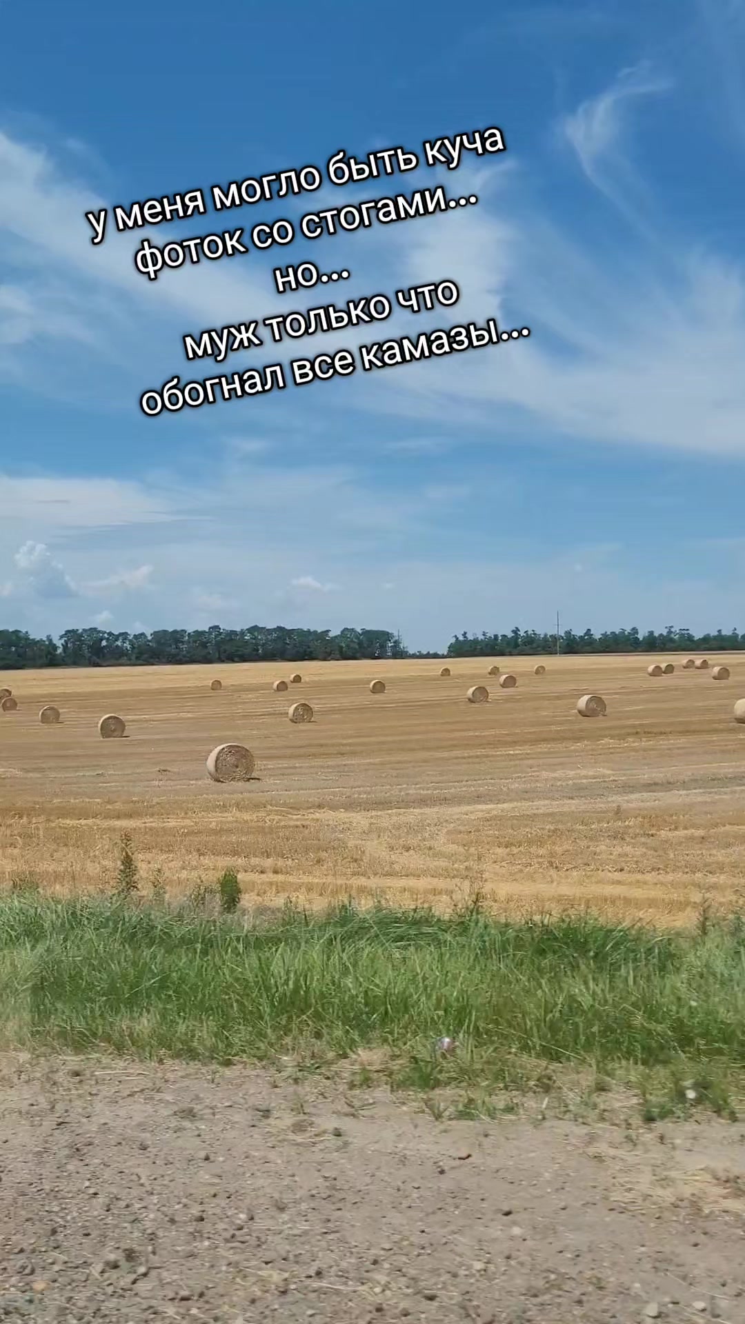 @marusy