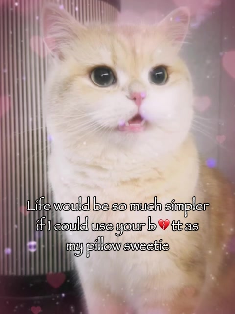 @VyyPilgrim72