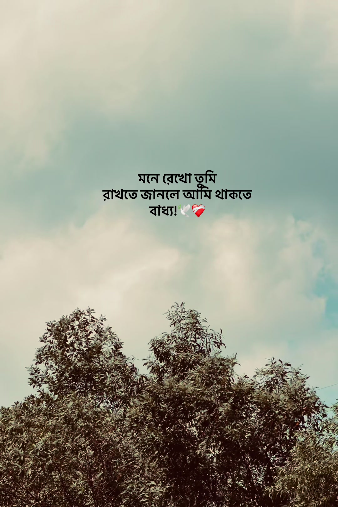 @आईएएन ┊🐥