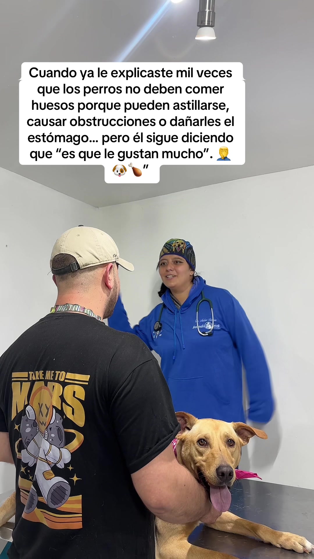 @Animal Small