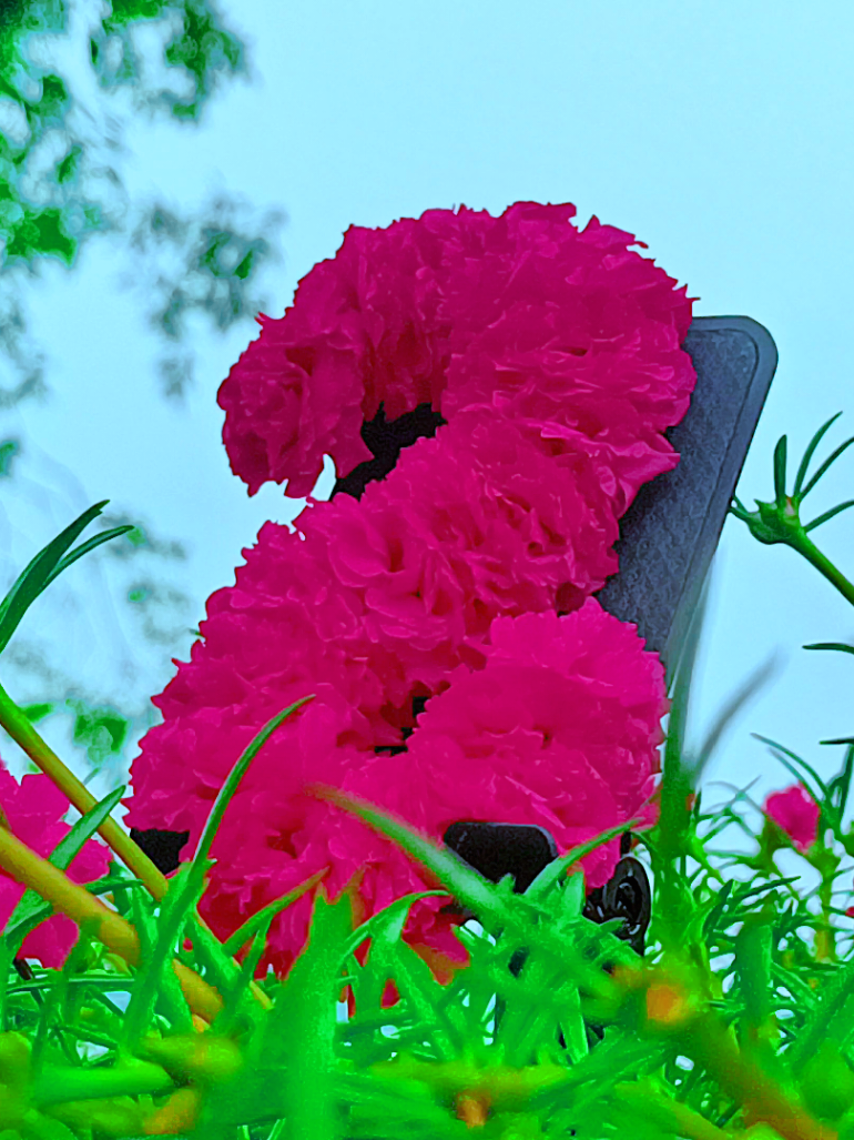 @🪺🦋বাংলার প্রকৃতি 🌾🌹