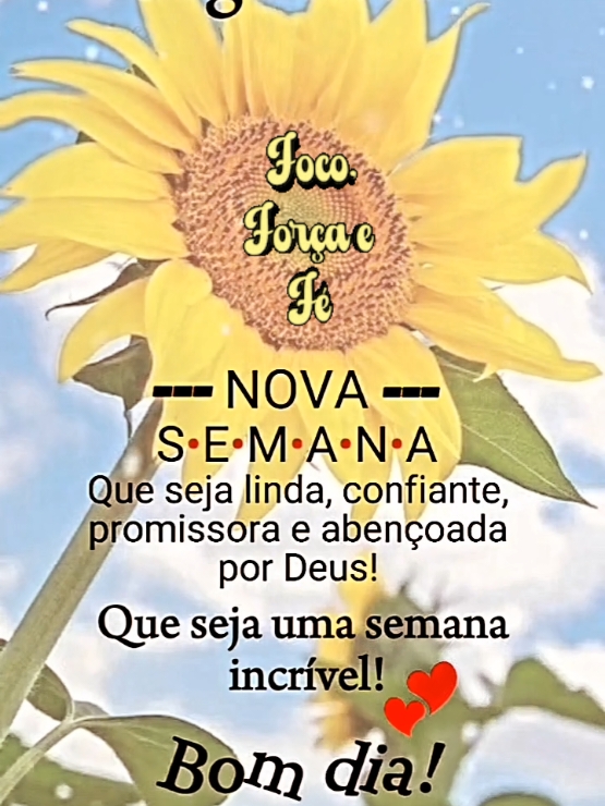 @Niube Resende💃👠📕🇧🇷🌻