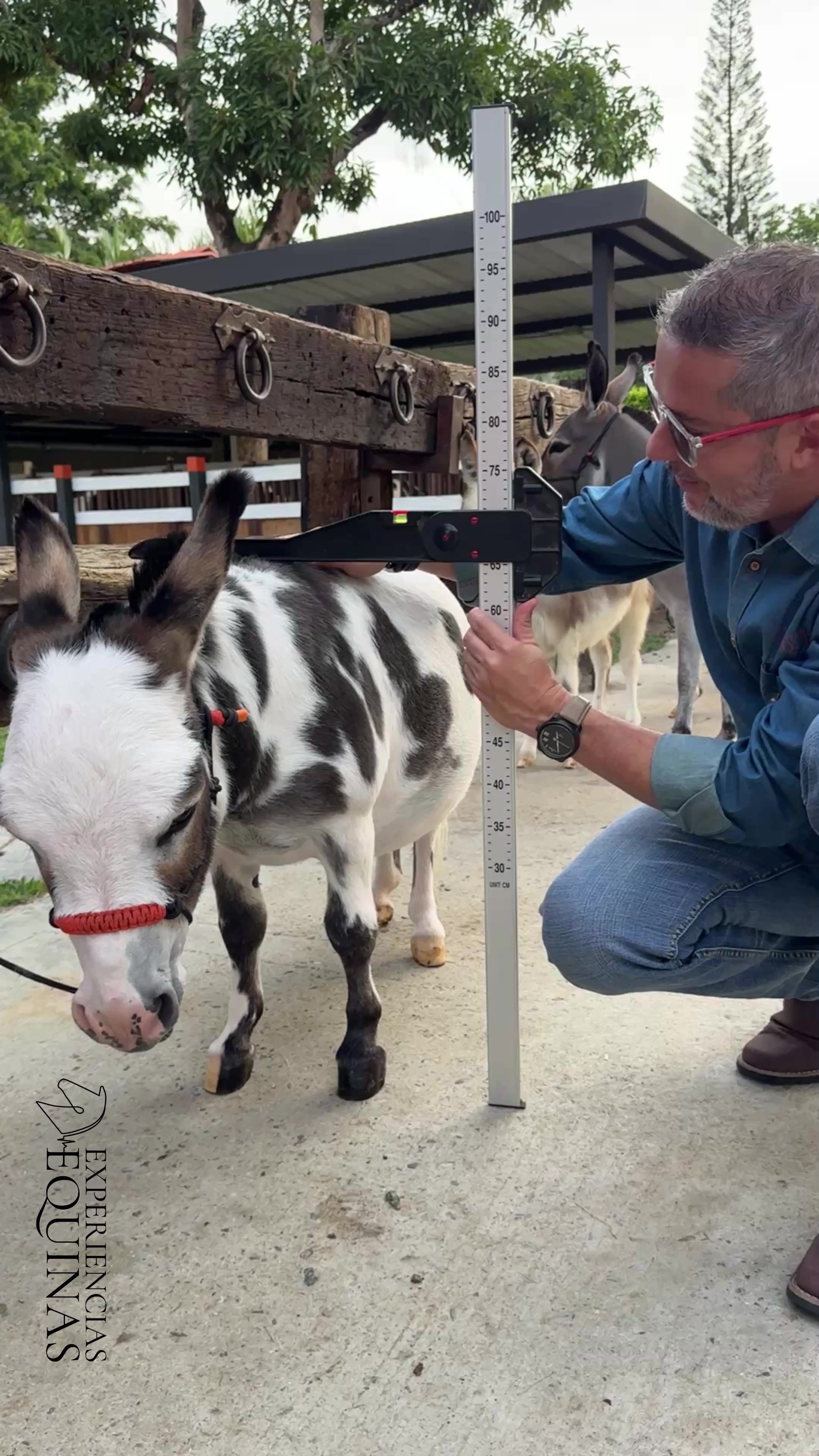 @Experiencias Equinas