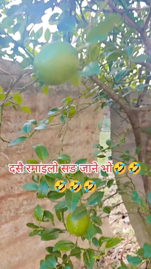 @🌺🌺🌺Sarita Bhandari 🌺🌺🌺