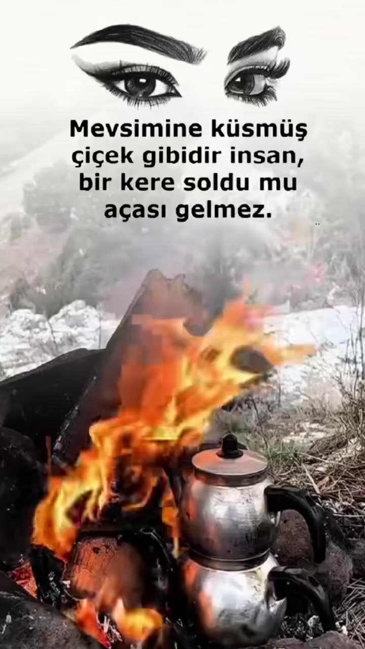@mavigöl