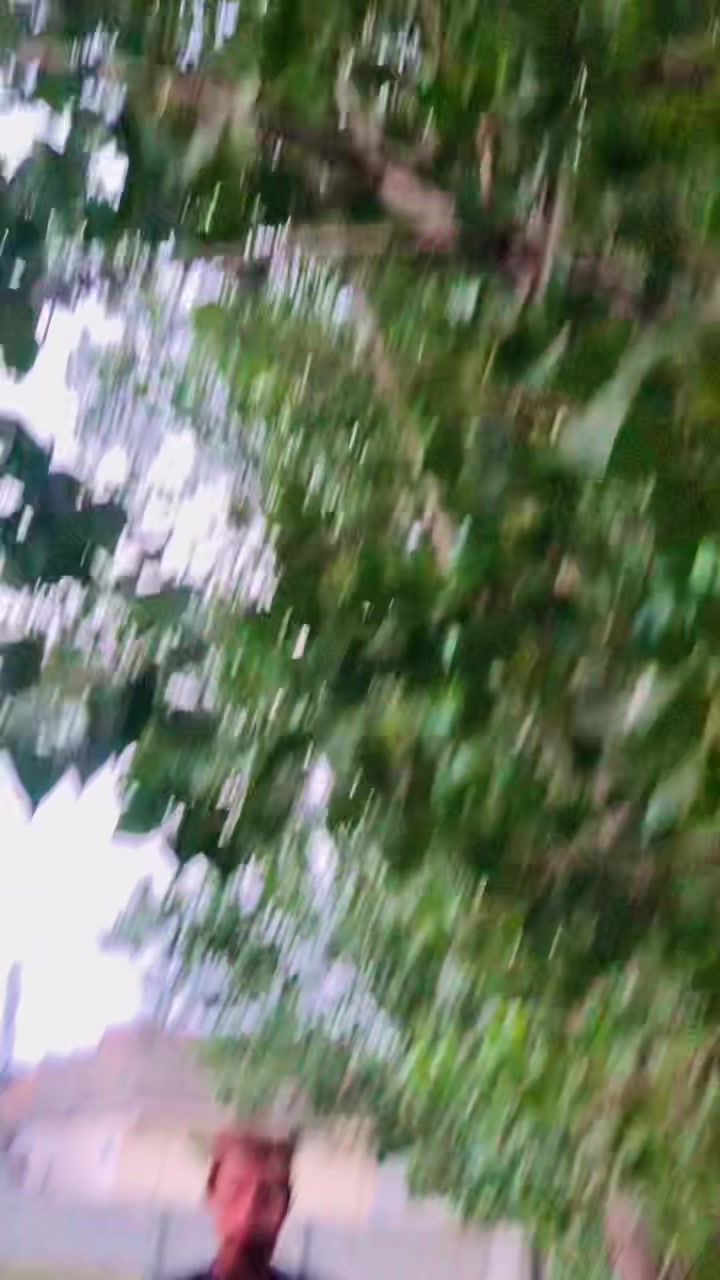 @* 🦅 S&acirc;&Icirc;d  &Aring;&ntilde;W&acirc;ر 🦅*