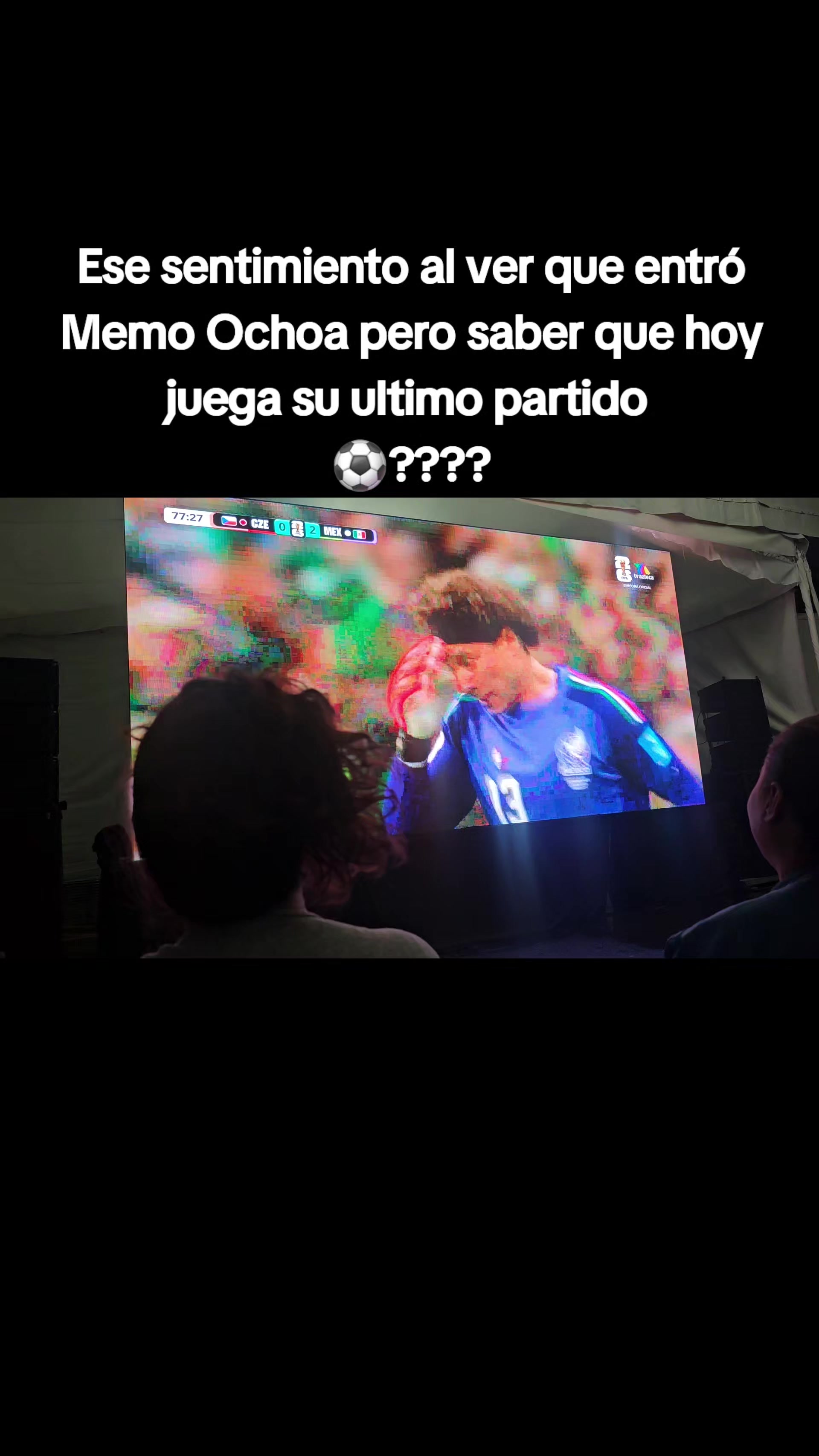 @viri Palomino