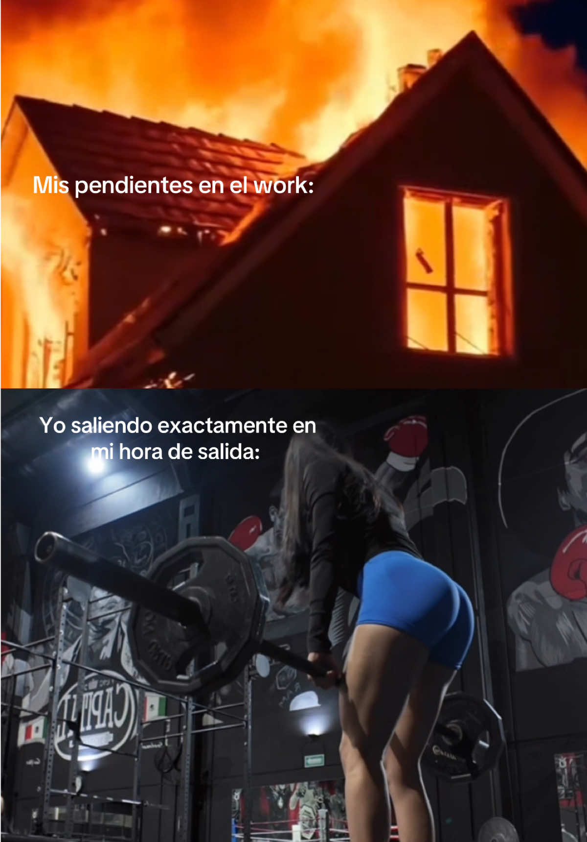 @pao_carez