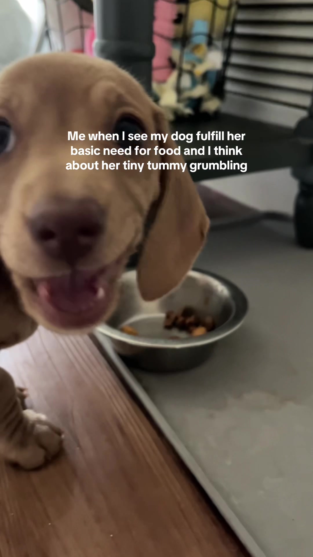 @Hazel & Heidi