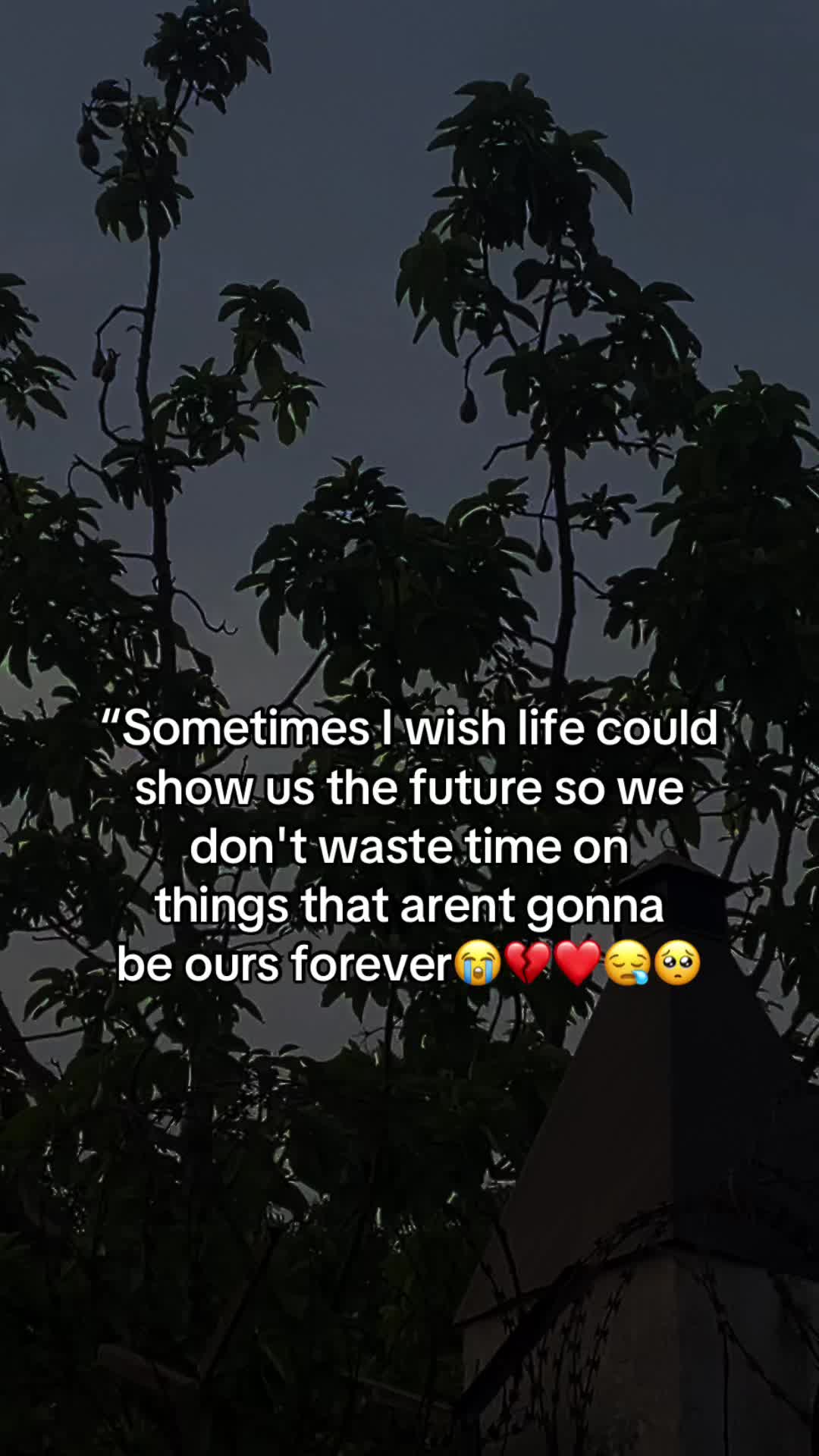 @Theresa🌸 🎀