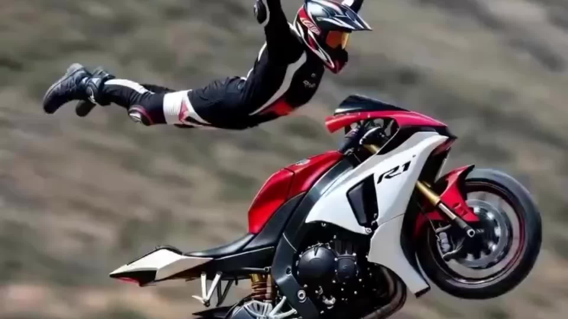 @whitetiger77755