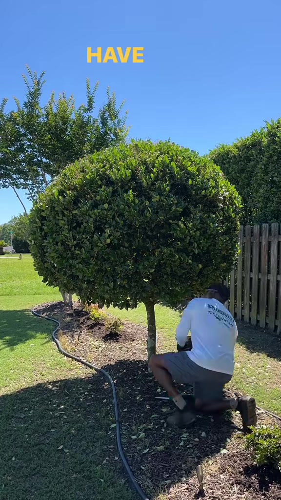 @Blades of Grass Lawn Care