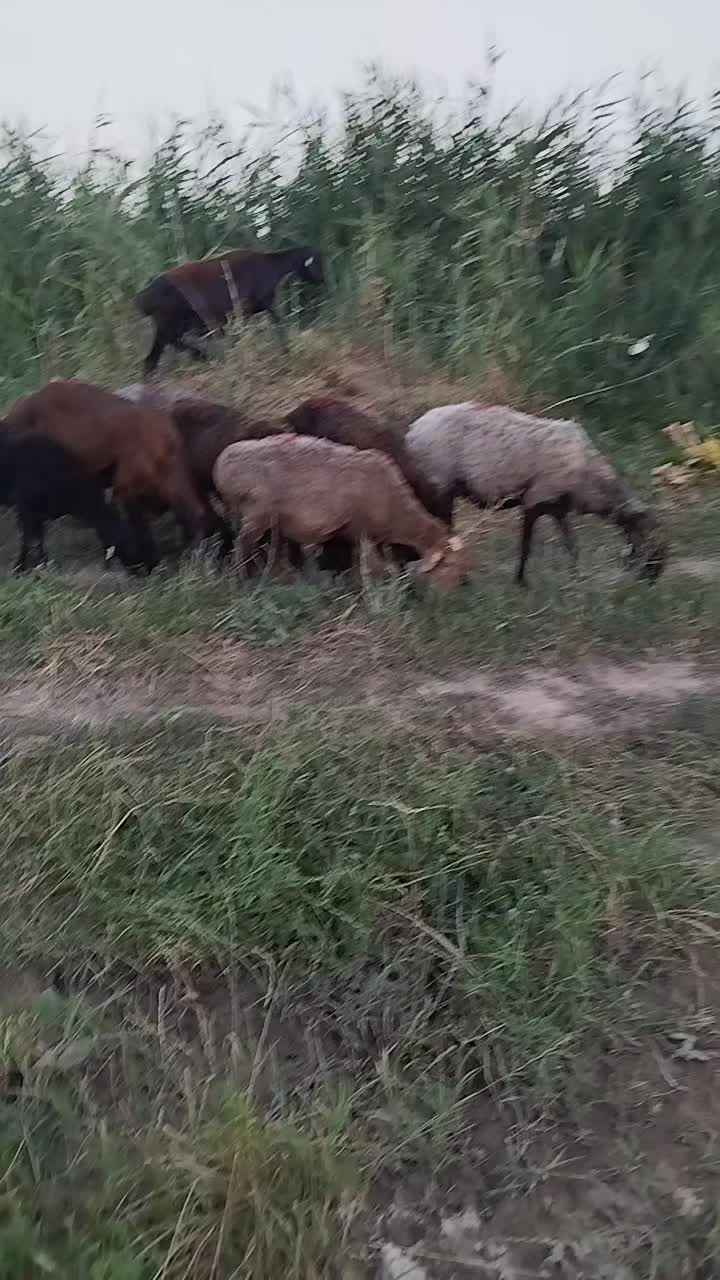 @Айдаров А