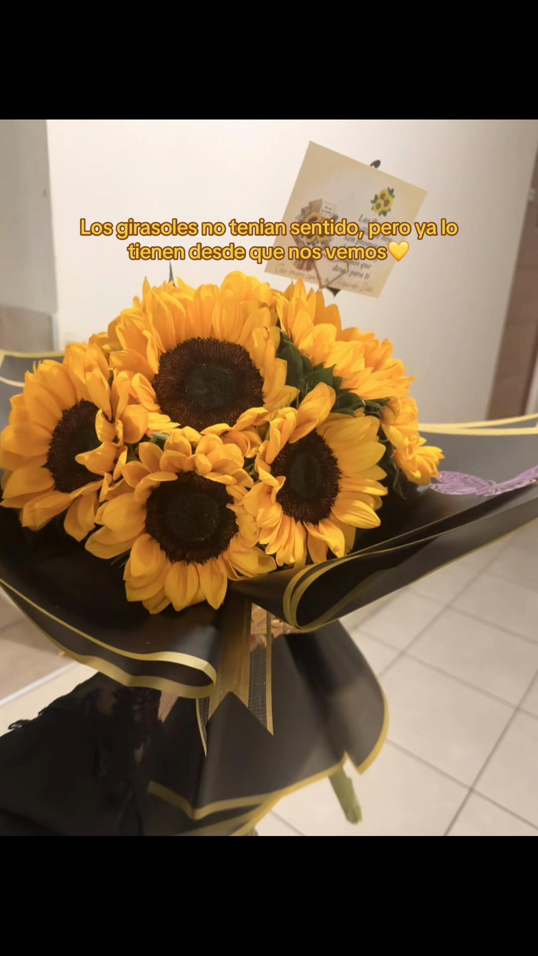 @Sheyla