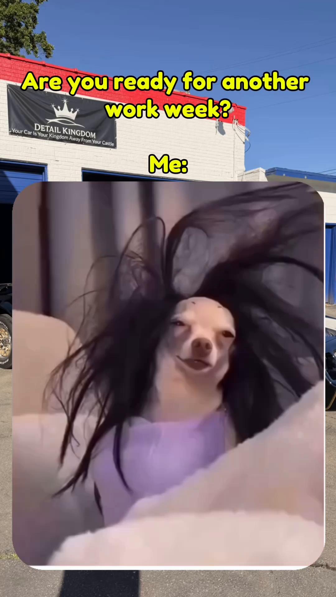 @DetailKingdom
